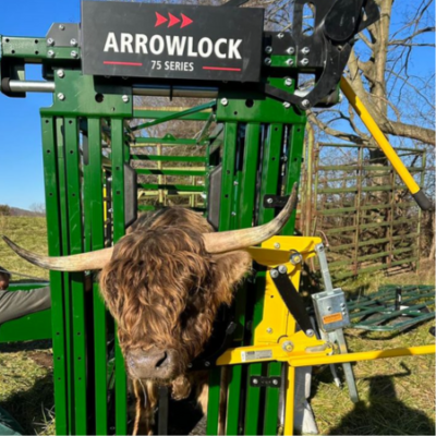 Arrowlock Cattle Head Gate